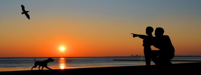 Isä ja poika rannalla auringonlaskun aikaan. Katsovat lentävää lintua.